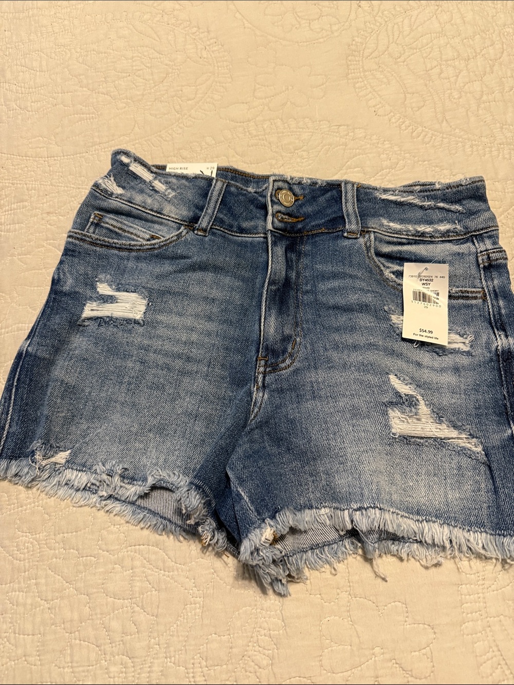 Flying Monkey Frayed Distressed Denim Shorts - Blue